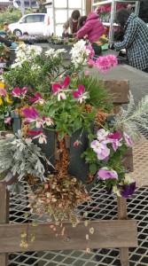 78546040_696921997502402_4262180503504814080_n