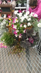 78570438_540670863149463_8745396297692872704_n