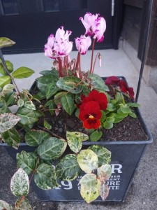 78587330_540651766732781_4181178558468587520_n