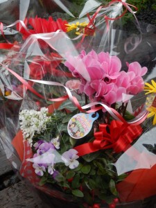 78707662_449251295792031_2211888800022396928_n