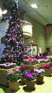 78716659_448719389385425_1325048310473424896_n