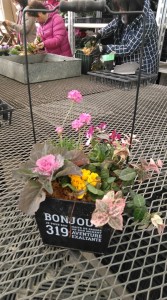 78761880_749558485562912_5632545988875911168_n