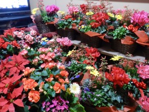 78776343_2408175649433690_3488989182230003712_n