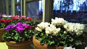 78863205_417617889113739_2426148088306466816_n