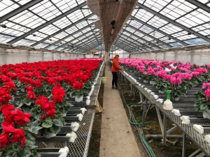 78922520_3073556815992684_6874244613519966208_n