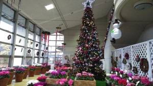 78927311_528897164626478_5165155505852645376_n