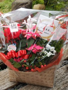 78943850_2651665978223238_6379321977085100032_n