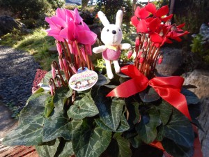 78948294_571900803371304_4554897909300068352_n