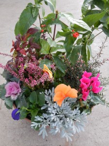 79091827_457979648238223_7952802027866685440_n