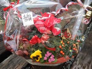 79117097_563594414477603_7660574454501605376_n