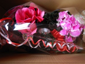 79188086_1007132459640948_7873924824626626560_n