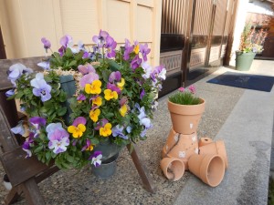 79288634_371571370324652_689616884101808128_n