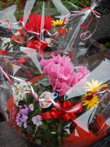 79348635_2385376944906385_7711571358576017408_n