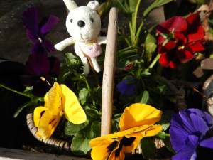 79372461_531344747448815_420375614927667200_n