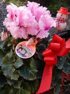 79712408_514836362710894_1966656685795704832_n