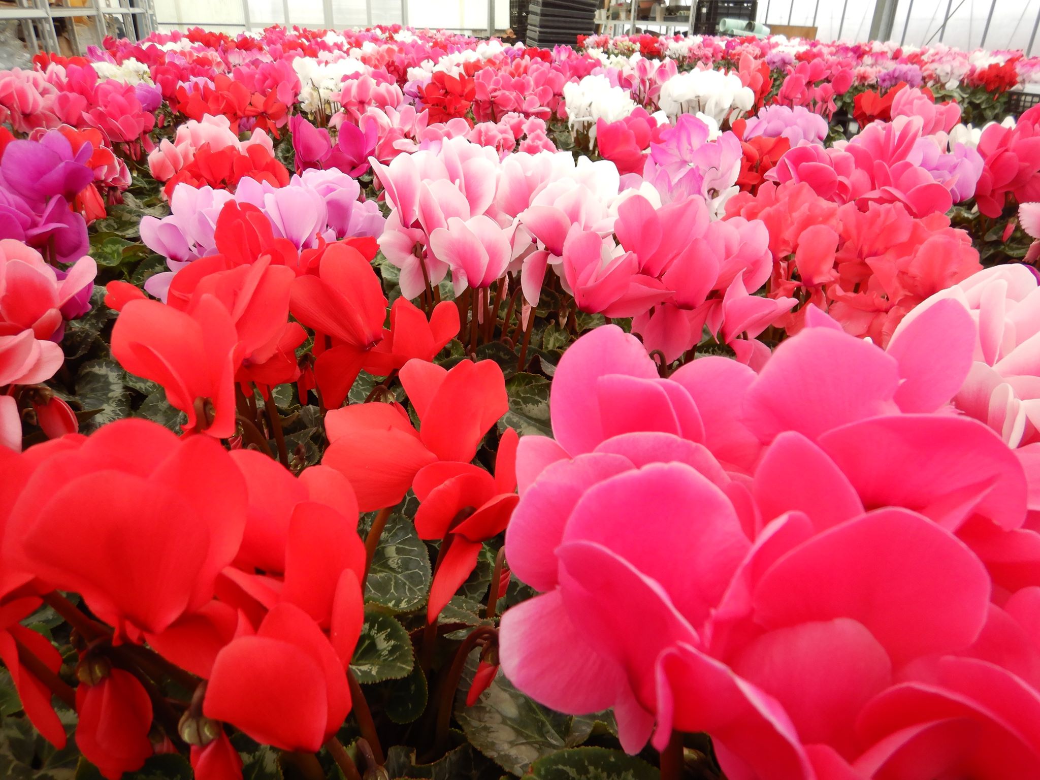 今日のあれこれ