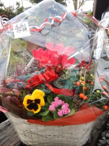 79753061_603044060439134_931670009564889088_n