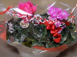 79767273_441175900127229_262989708051611648_n