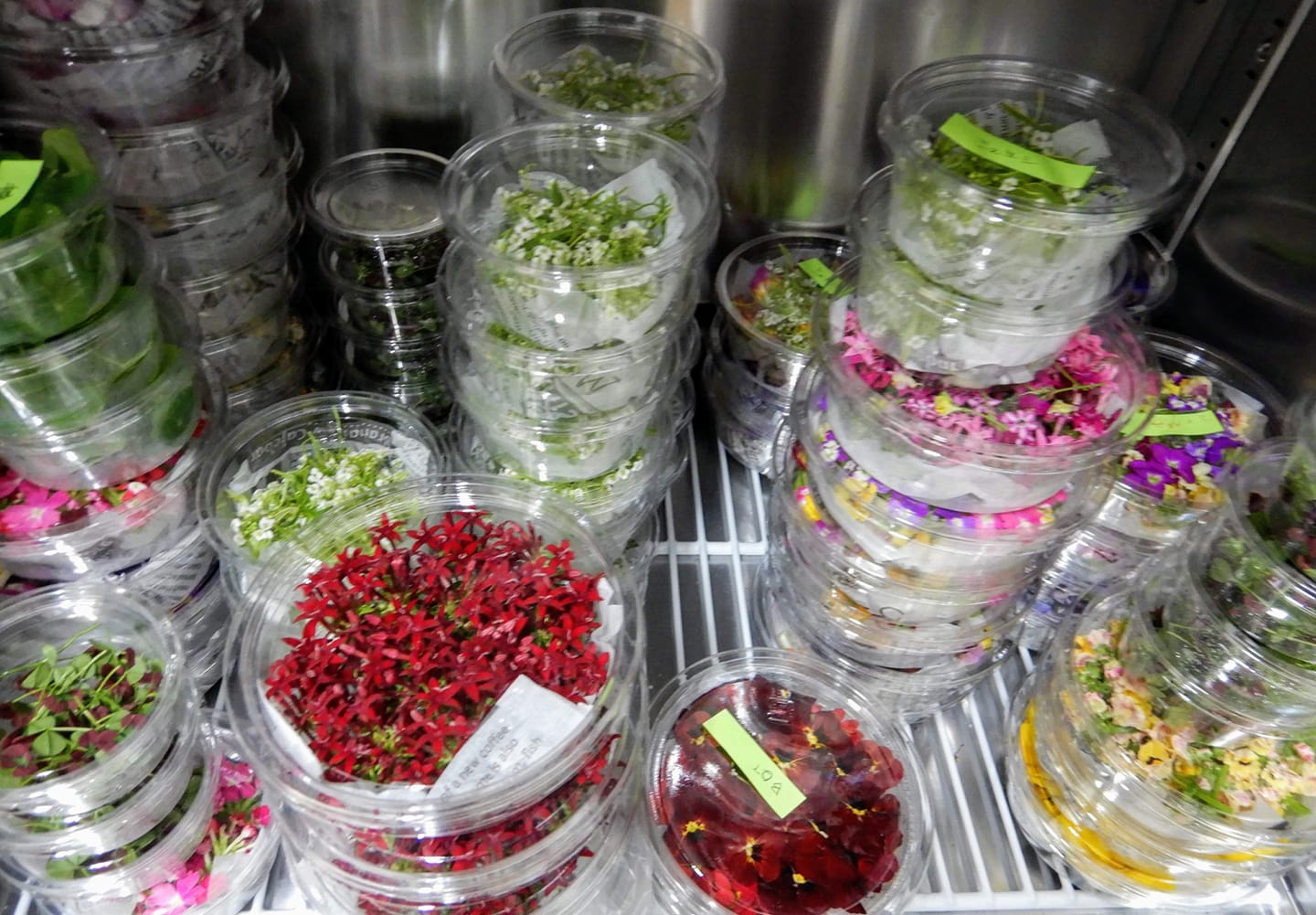 ハッピーメリークリスマース🎄🎅✨🎁🍴✨