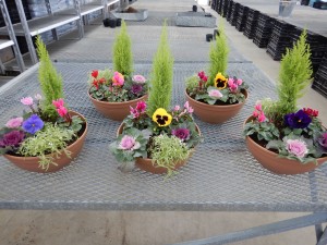 79936771_714717215720429_6134569954302754816_n