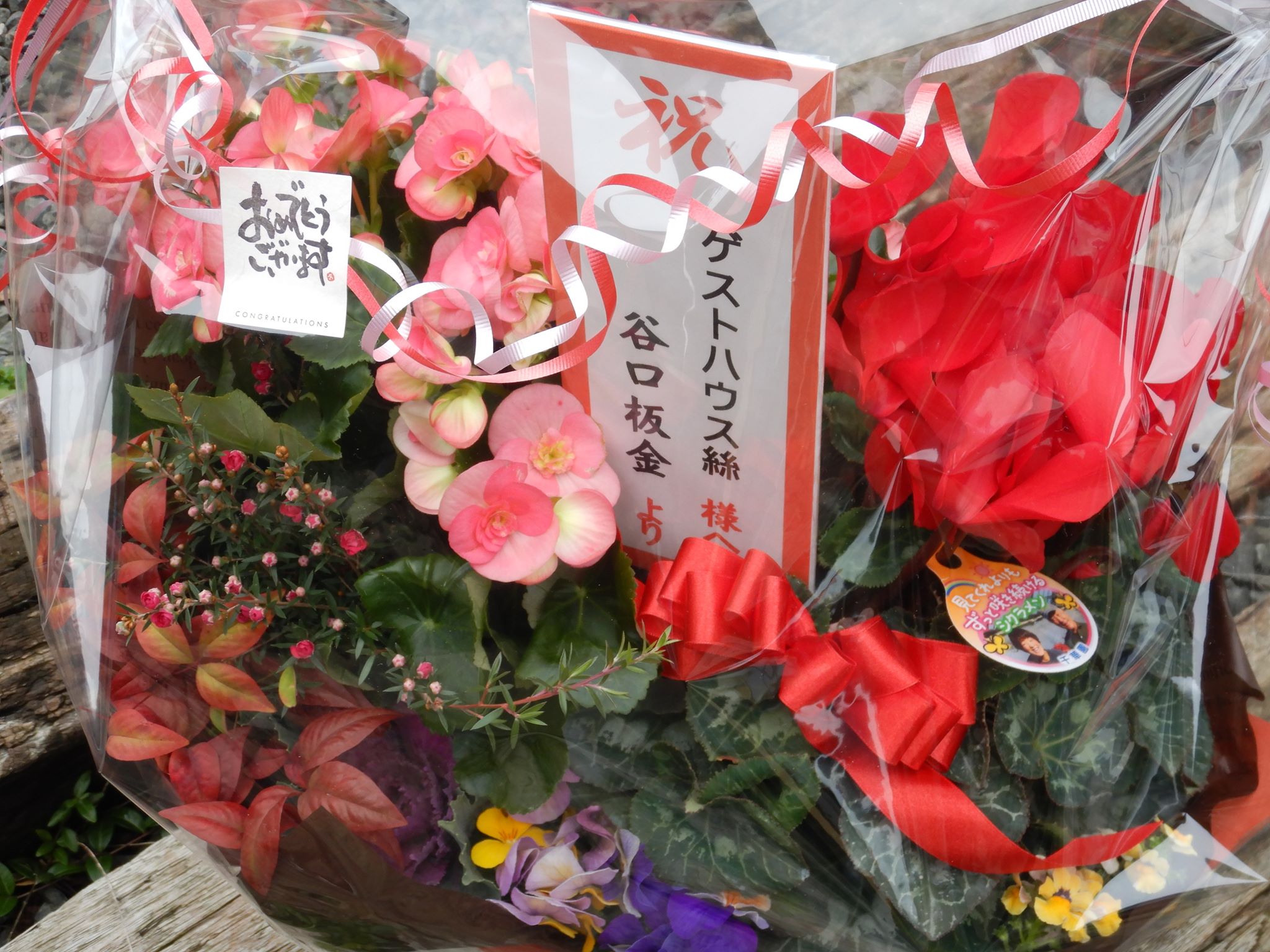 ゲストハウスのお祝に☆