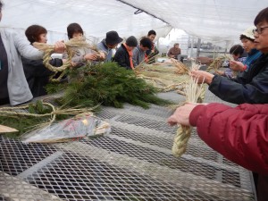 80209082_2452523638399397_2012428912478388224_n