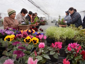 80367391_2670679036352454_6901559849608282112_n