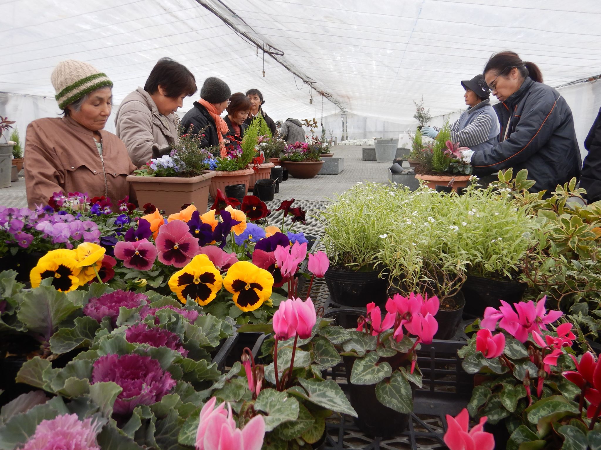 南砺市中核女性農業士寄せ植え🌸