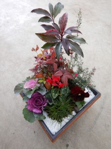 80460148_494089241221619_6015772541874864128_n