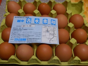 80556686_442810773064420_1132231693659275264_n