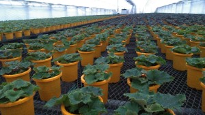 80568177_456901388533020_5410082277969362944_n