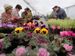 80662036_301708697399078_3000350950532579328_n