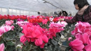 80690895_2657090807702302_3496886755208986624_n