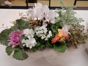 80695096_2644146075663442_7630847091765411840_n