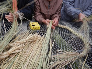 80704085_581007179110798_384066575587606528_n