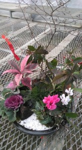 80779985_2657090161035700_5467727434935697408_n