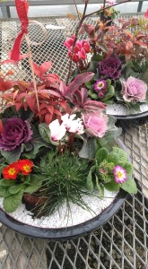 80807991_2657090544368995_4917619334945177600_n