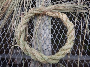 80983752_444261076249243_8192695072542687232_n