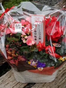 81043419_951036468625876_403065938947080192_n