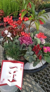 81056273_2657090671035649_4706277527750967296_n