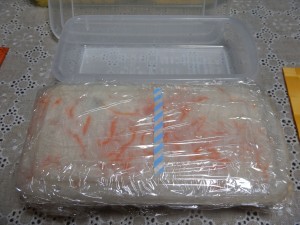 81805360_1024169171252838_1772710075970879488_n