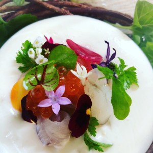 71206102_3739139272778550_5452160287316639744_n