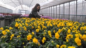 81016519_2976367719048627_7242081508423368704_n