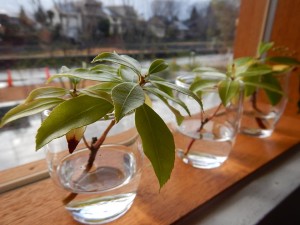 81042576_2666669923411057_2812578046958108672_n