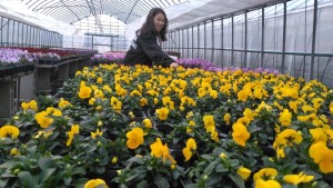 81164963_887549321679979_7218107293034872832_n