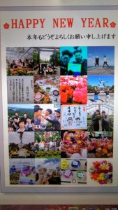 81294556_2478438675806815_6616510051358081024_n