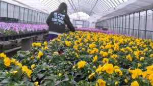 81446118_2698263746902026_5570293130864885760_n