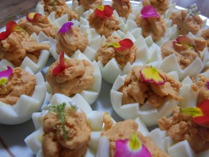 81571590_473884476600374_6575463486996873216_n