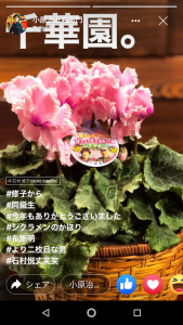 81591469_2585850421522154_8938941950845779968_n