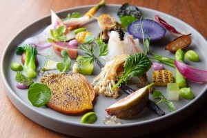 81606572_886518838445604_4827212669956128768_n